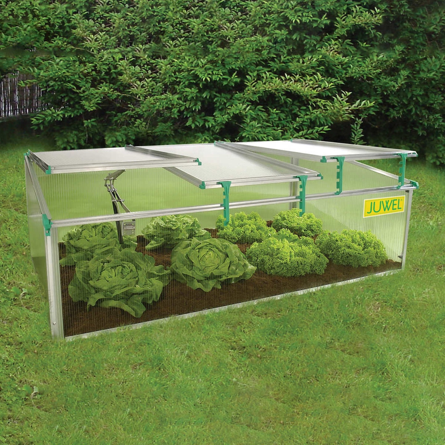 Juwel Biostar 1500 Premium Cold Frame Mini-Greenhouse