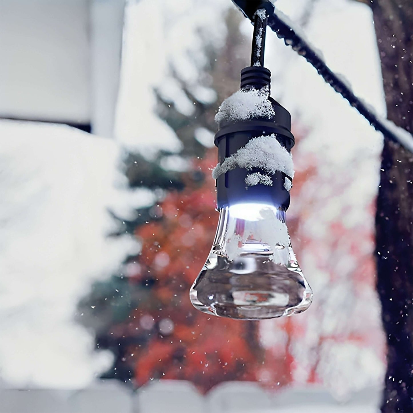 A clear light bulb hanging outdoors with a dusting of snow on top, illuminated against a blurred winter backdrop.