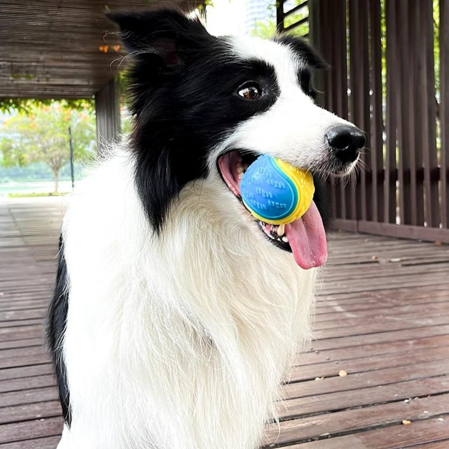 Durable Dog Delight: Bite-Resistant Rubber Training Ball