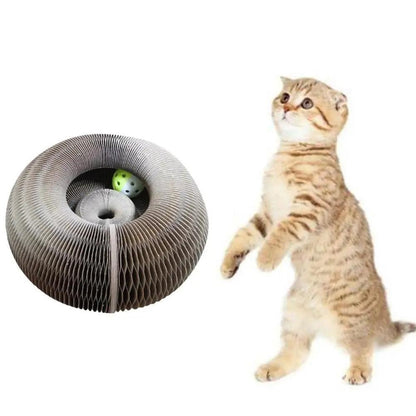 Magic Organ Foldable Cat Scratch Board with Bell