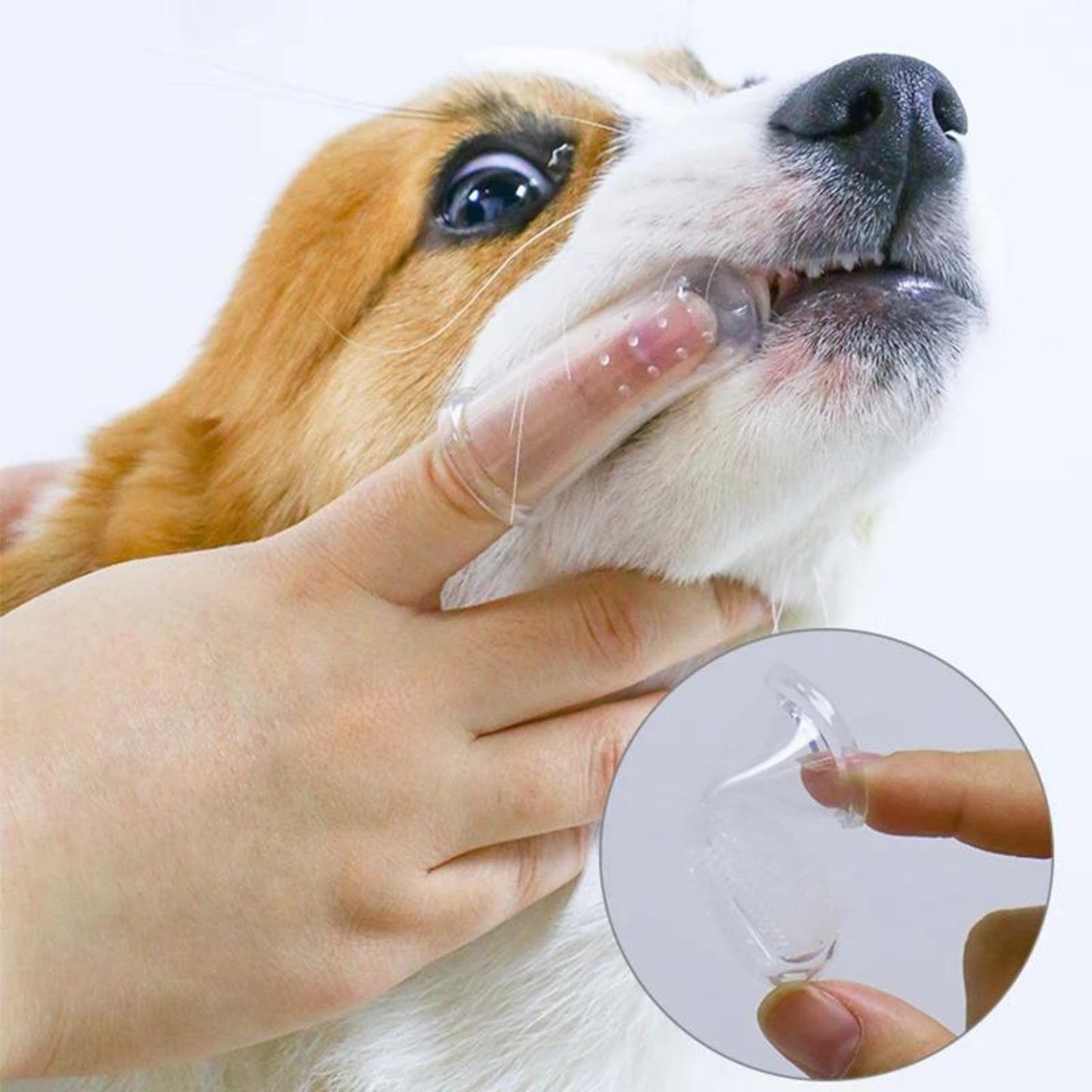 Gentle Pet Care Soft Silicone Finger Toothbrush for Dogs